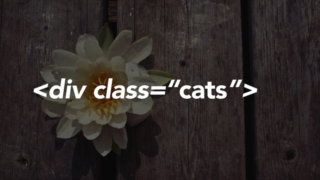 <div class="“cats”">
</div>