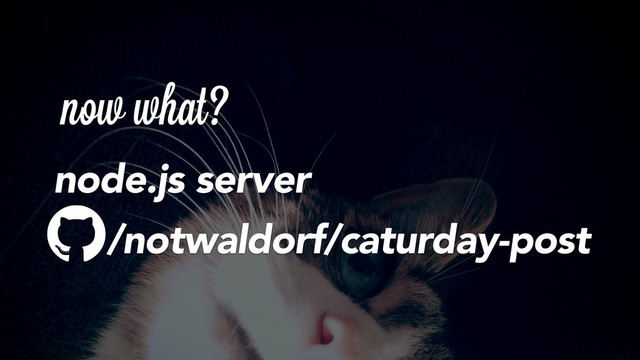 now what?
node.js server
/notwaldorf/caturday-post
