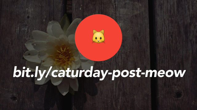 bit.ly/caturday-post-meow

