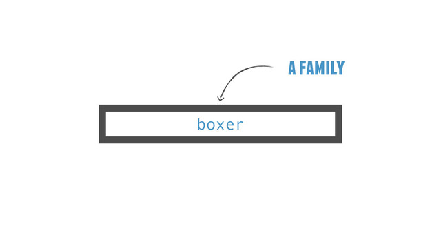 boxer
a family
