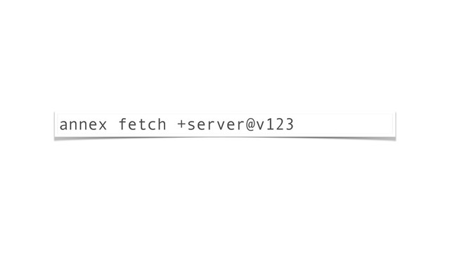 annex fetch +server@v123
