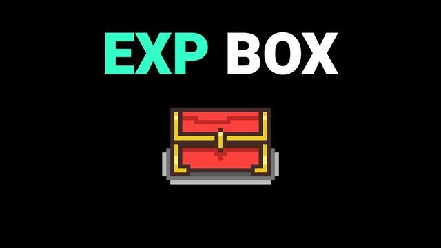 EXP BOX
