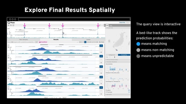 Explore Final Results Spatially
al. 2018) as the genome
browser
Convergence and divergence
View is interactive and dots are
selectable
The query view is interactive
A bed-like track shows the
prediction probabilities: 
⬤ means matching 
⬤ means non-matching 
⬤ means unpredictable
