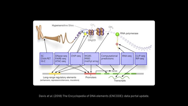 Davis et al. (2018) The Encyclopedia of DNA elements (ENCODE): data portal update.
