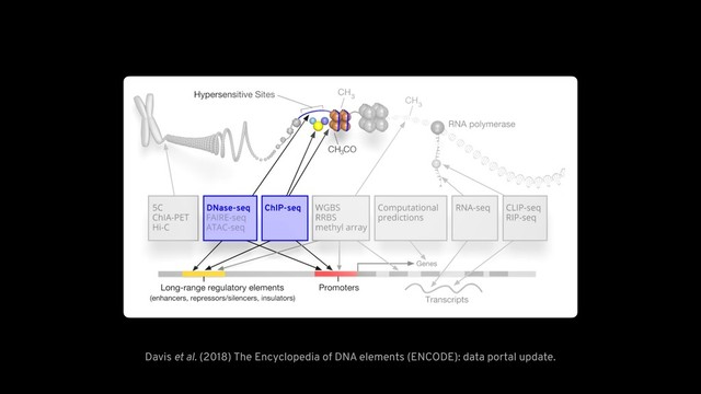 Davis et al. (2018) The Encyclopedia of DNA elements (ENCODE): data portal update.
