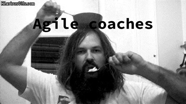 Agile coaches
