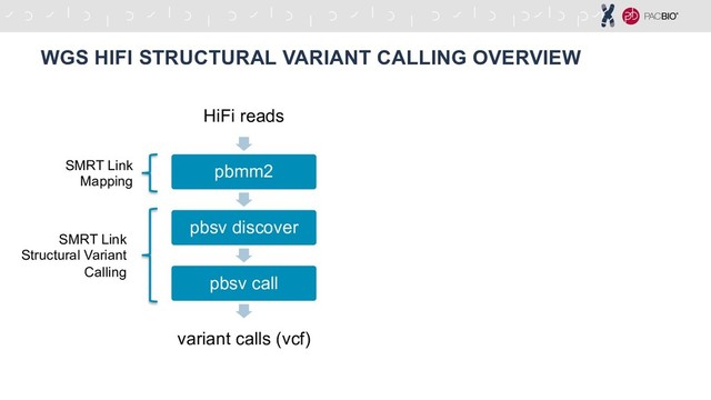 WGS HIFI STRUCTURAL VARIANT CALLING OVERVIEW
HiFi reads
pbmm2
pbsv discover
pbsv call
variant calls (vcf)
SMRT Link
Structural Variant
Calling
SMRT Link
Mapping
