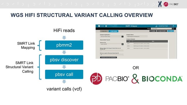 WGS HIFI STRUCTURAL VARIANT CALLING OVERVIEW
HiFi reads
pbmm2
pbsv discover
pbsv call
variant calls (vcf)
SMRT Link
Structural Variant
Calling
SMRT Link
Mapping
OR
