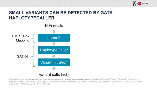 SMALL VARIANTS CAN BE DETECTED BY GATK
HAPLOTYPECALLER
HiFi reads
pbmm2
HaplotypeCaller
VariantFiltration
variant calls (vcf)
GATK4
SMRT Link
Mapping
A framework for variation discovery and genotyping using next-generation DNA sequencing data DePristo M, Banks E, Poplin R, Garimella K,
Maguire J, Hartl C, Philippakis A, del Angel G, Rivas MA, Hanna M, McKenna A, Fennell T, Kernytsky A, Sivachenko A, Cibulskis K, Gabriel S, Altshuler D,
Daly M, 2011 NATURE GENETICS 43:491-498
