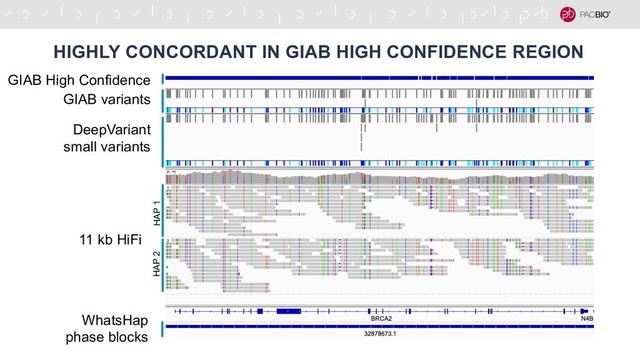 HIGHLY CONCORDANT IN GIAB HIGH CONFIDENCE REGION
HAP 2 HAP 1
11 kb HiFi
GIAB High Confidence
GIAB variants
DeepVariant
small variants
WhatsHap
phase blocks
