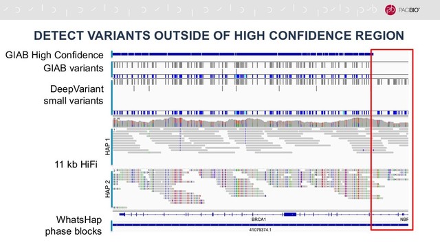 DETECT VARIANTS OUTSIDE OF HIGH CONFIDENCE REGION
HAP 2 HAP 1
11 kb HiFi
GIAB High Confidence
GIAB variants
DeepVariant
small variants
WhatsHap
phase blocks
