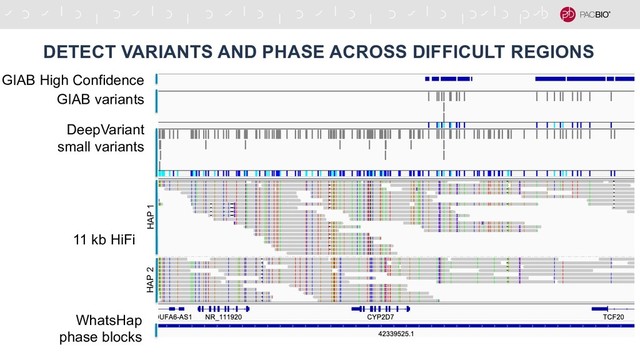 DETECT VARIANTS AND PHASE ACROSS DIFFICULT REGIONS
HAP 2 HAP 1
11 kb HiFi
GIAB High Confidence
GIAB variants
DeepVariant
small variants
WhatsHap
phase blocks
