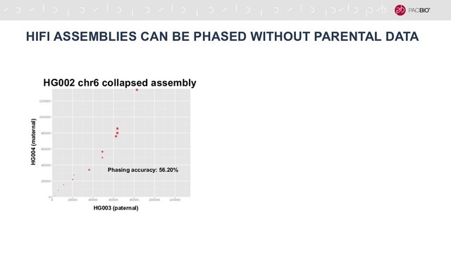 HIFI ASSEMBLIES CAN BE PHASED WITHOUT PARENTAL DATA
Phasing accuracy: 56.20%
HG003 (paternal)
HG004 (maternal)
HG002 chr6 collapsed assembly
