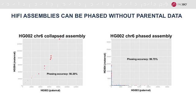 HIFI ASSEMBLIES CAN BE PHASED WITHOUT PARENTAL DATA
Phasing accuracy: 56.20%
Phasing accuracy: 99.75%
HG003 (paternal)
HG004 (maternal)
HG003 (paternal)
HG004 (maternal)
HG002 chr6 collapsed assembly HG002 chr6 phased assembly
