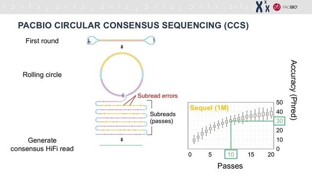 PACBIO CIRCULAR CONSENSUS SEQUENCING (CCS)
First round
Rolling circle
Generate
consensus HiFi read
Subreads
(passes)
Subread errors
Accuracy (Phred)
5 10 15 20
0
30
0
10
20
40
50
Sequel (1M)
Passes

