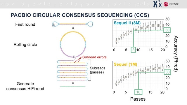 PACBIO CIRCULAR CONSENSUS SEQUENCING (CCS)
First round
Rolling circle
Generate
consensus HiFi read
Subreads
(passes)
Subread errors
Accuracy (Phred)
5 10 15 20
0
30
0
10
20
40
50
Sequel (1M)
Passes
Passes
30
0
10
20
40
50
8
5 15 20
0 10
Sequel II (8M)
