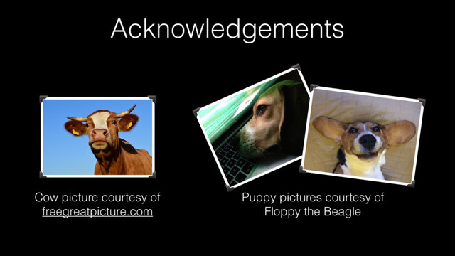 Acknowledgements
Cow picture courtesy of
freegreatpicture.com
Puppy pictures courtesy of
Floppy the Beagle
