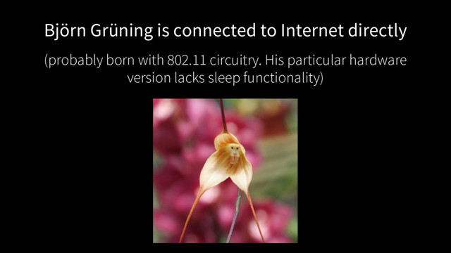 Björn Grüning is connected to Internet directly
(probably born with 802.11 circuitry. His particular hardware
version lacks sleep functionality)
