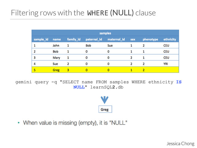 Filtering rows with the WHERE (NULL) clause
Jessica Chong
gemini query -q "SELECT name FROM samples WHERE ethnicity IS
NULL" learnSQL2.db	  
