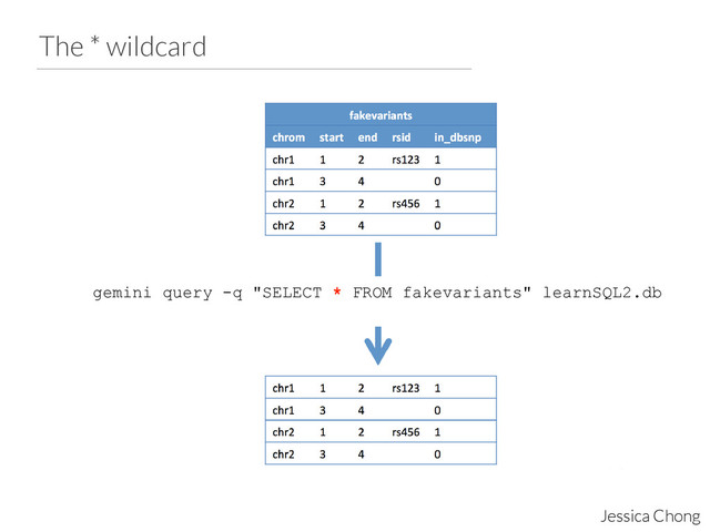 The * wildcard
Jessica Chong
gemini query -q "SELECT * FROM fakevariants" learnSQL2.db
