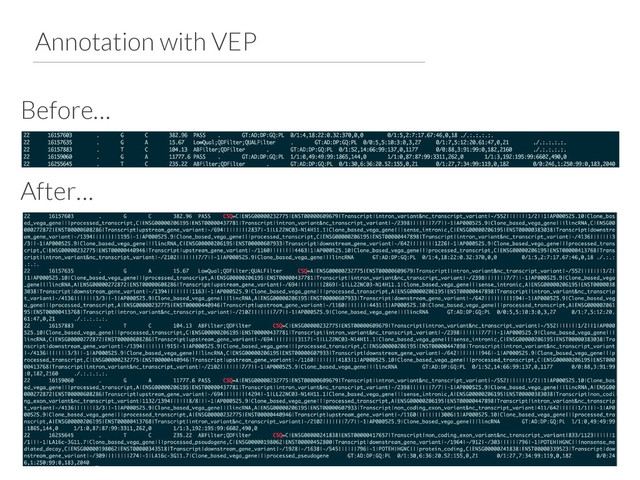 Annotation with VEP
Before…
After…
