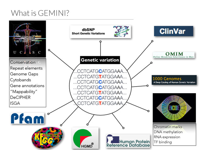 What is GEMINI?
...CCTCATGCATGGAAA...
Genetic variation
...CCTCATGTATGGAAA...
...CCTCATGCATGGAAA...
...CCTCATGCATGGAAA...
...CCTCATGTATGGAAA...
...CCTCATGCATGGAAA...
...CCTCATGTATGGAAA...
Conservation
Repeat elements
Genome Gaps
Cytobands
Gene annotations
“Mappability”
DeCIPHER
ISGA
Chromatin marks
DNA methylation
RNA expression
TF binding
