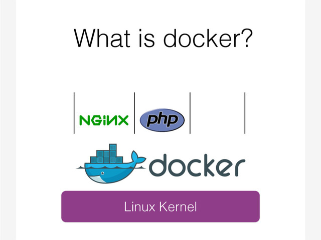 What is docker?
Linux Kernel

