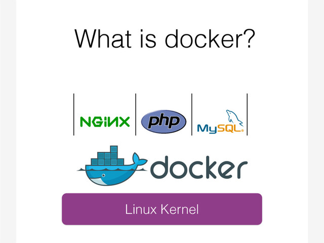 What is docker?
Linux Kernel
