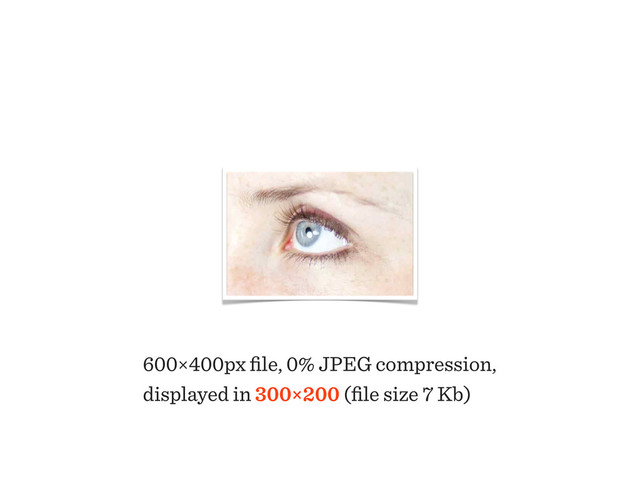 600×400px ﬁle, 0% JPEG compression,
displayed in 300×200 (ﬁle size 7 Kb)
