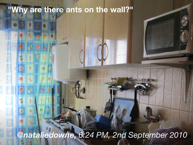 "Why are there ants on the wall?"
@nataliedowne, 6:24 PM, 2nd September 2010

