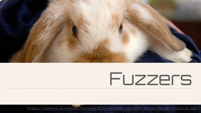 Fuzzers
https://commons.wikimedia.org/wiki/File:Holland_Lop_with_Broken_Orange_Coloring.jpg
