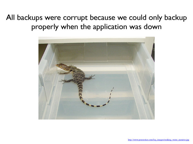 http://www.proexotics.com/faq_images/soaking_water_monitor.jpg
All backups were corrupt because we could only backup
properly when the application was down
