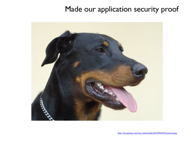 http://strongdogz.com/wp-content/uploads/2008/09/beauceron.jpg
Made our application security proof
