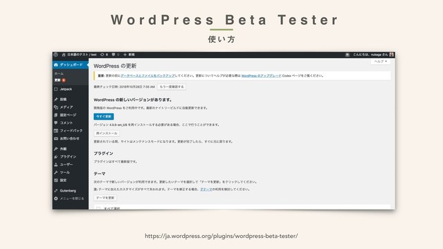 W o r d P r e s s B e t a T e s t e r
https://ja.wordpress.org/plugins/wordpress-beta-tester/
࢖͍ํ
