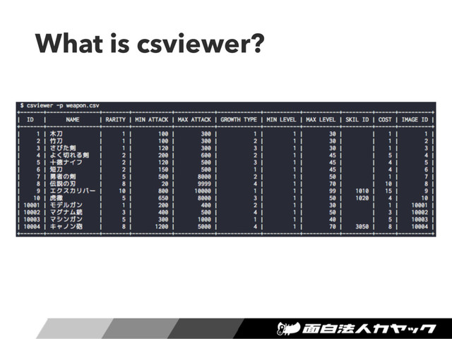What is csviewer?
