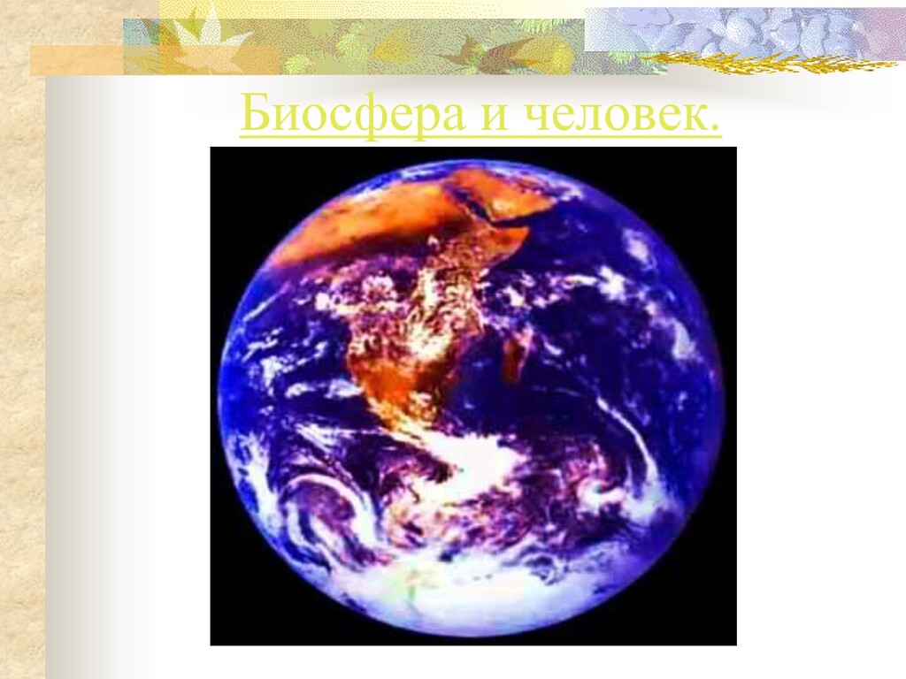 Урок человек и биосфера. Биосфера и человек. География Биосфера и человек. Биосфера и человек презентация. Человек и Биосфера фото.