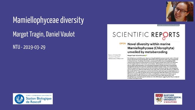 Mamiellophyceae diversity
Margot Tragin, Daniel Vaulot
NTU - 2019-03-29
