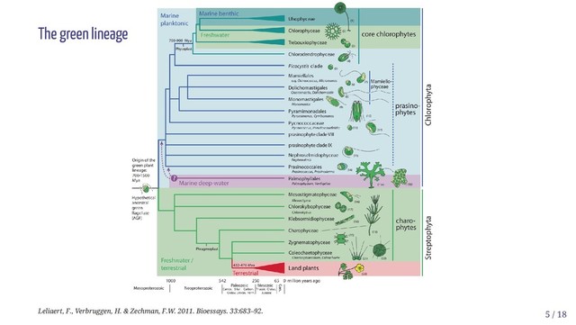The green lineage
Leliaert, F., Verbruggen, H. & Zechman, F.W. 2011. Bioessays. 33:683–92. 5 / 18
