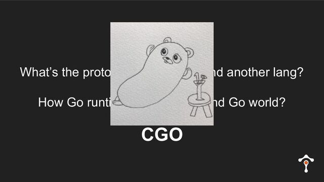 What’s the protocol between Go and another lang?
How Go runtime behaves beyond Go world?
CGO
