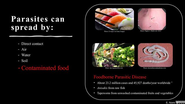 E. Nomi
Parasites can
spread by:
- Direct contact
- Air
- Water
- Soil
- Contaminated food Photo: theveganinsider.com
Photo: E-Anjei via Getty Images Photo: Figure 1, Madi et al. 2013
Photo: doctorsbeyondmedicine.com
Foodborne Parasitic Disease
• About 23.2 million cases and 45,927 deaths/year worldwide 5
• Anisakis from raw fish
• Tapeworm from unwashed contaminated fruits and vegetables
E. Nomi

