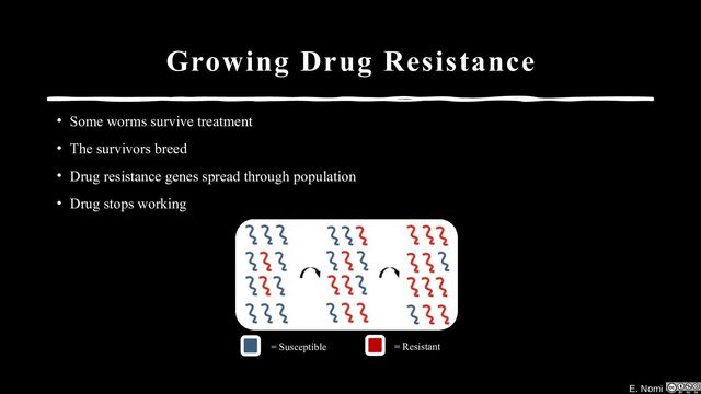 E. Nomi
Growing Drug Resistance
• Some worms survive treatment
• The survivors breed
• Drug resistance genes spread through population
• Drug stops working
= Resistant
= Susceptible
