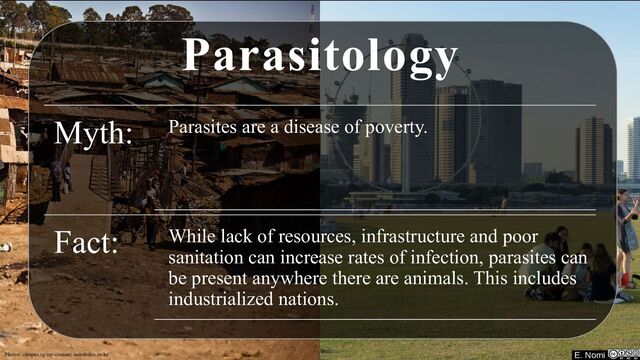 E. Nomi
Parasitology
Myth: Parasites are a disease of poverty.
Fact: While lack of resources, infrastructure and poor
sanitation can increase rates of infection, parasites can
be present anywhere there are animals. This includes
industrialized nations.
Photos: campus.sg/wp-content; nairobileo.co.ke E. Nomi
