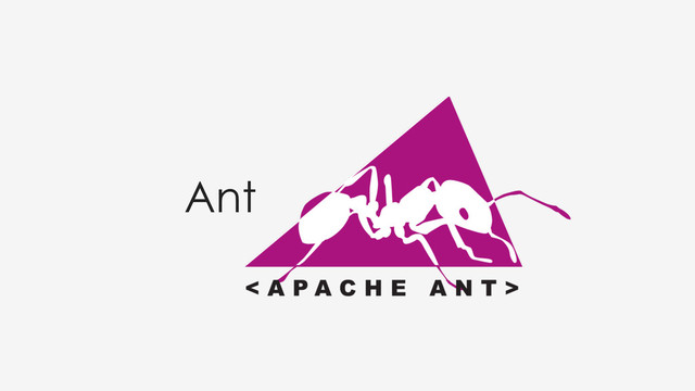 Ant
