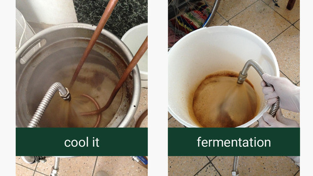 cool it fermentation
