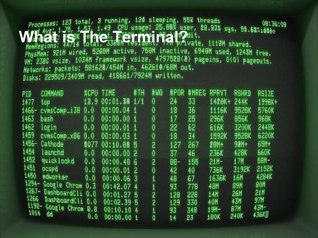 What is The Terminal?
