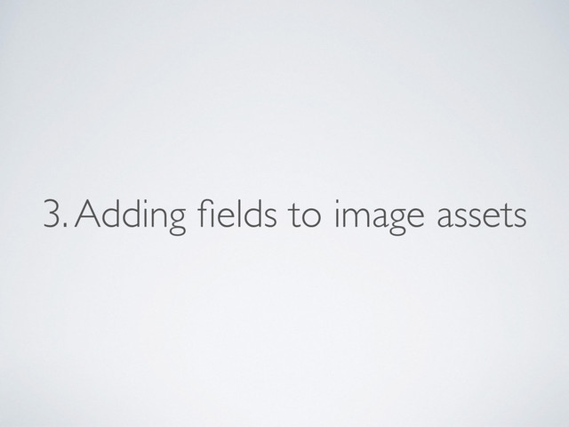 3. Adding ﬁelds to image assets
