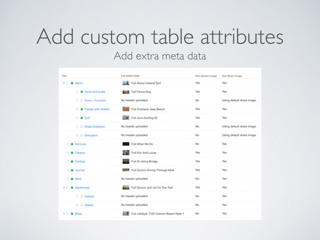 Add extra meta data
Add custom table attributes
