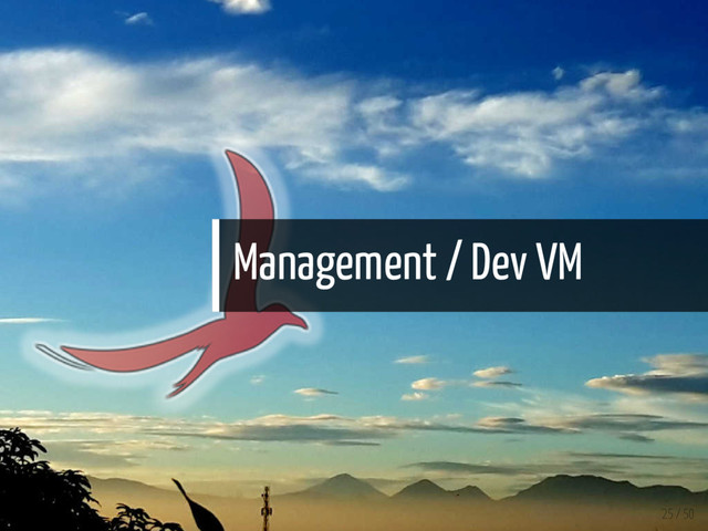 Management / Dev VM
25 / 50
