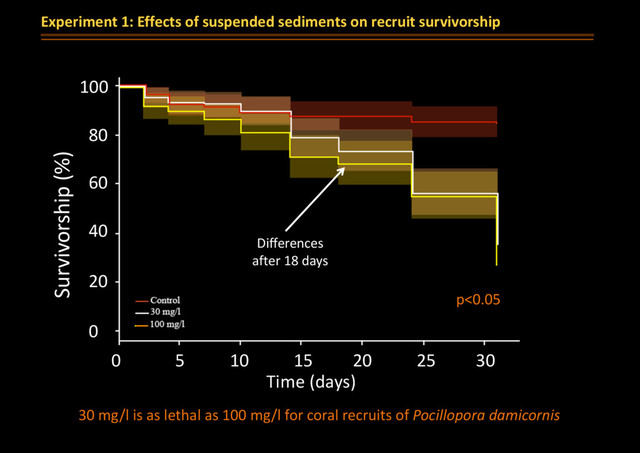 Experiment 1: Effects of suspended sediments on recruit survivorship
p<0.05
Differences
after 18 days
30 mg/l is as lethal as 100 mg/l for coral recruits of Pocillopora damicornis
Survivorship (%)
100
80
60
40
20
0
0 5 10 25 30
Time (days)
15 20
