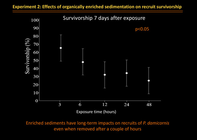 Experiment 2: Effects of organically enriched sedimentation on recruit survivorship
Enriched sediments have long-term impacts on recruits of P. damicornis
even when removed after a couple of hours
Survivorship 7 days after exposure
p<0.05
Exposure time (hours)
